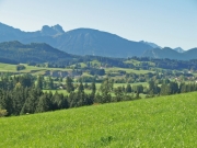 CIMG0984