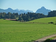 CIMG1002