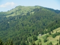 CIMG0410