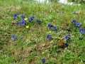 CIMG0322