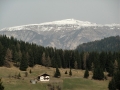 CIMG4301