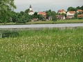 CIMG5081