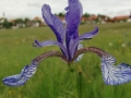 CIMG5088