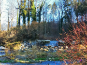 Ailingen02