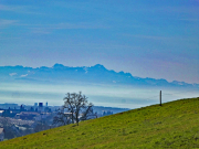 Ailingen04