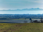 Ailingen07