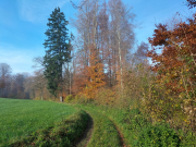 IMG20251106104805