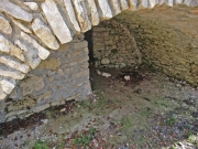 CIMG4553
