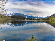 Alpsee09