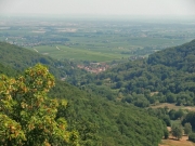 CIMG5474