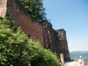 CIMG5491