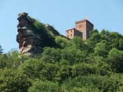 CIMG5493