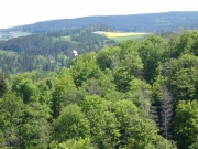 P1030206