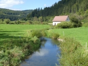 P1040233