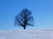 P1020385