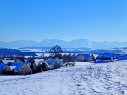P1020386