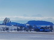 P1020390