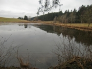 Fischweiher bei Aitrang