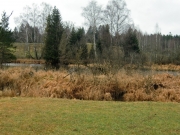 Ried bei Wenglingen
