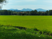 IMG20230714105645