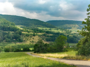 Blick03