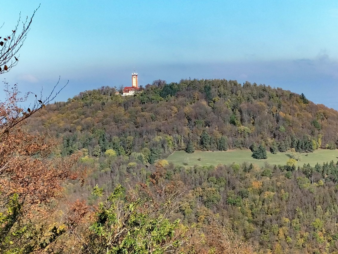 IMG20261030114928