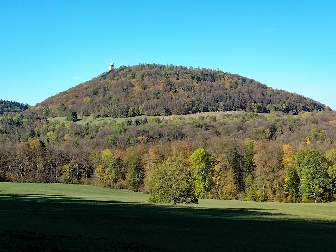 IMG20261030131947