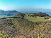 IMG20261030120017