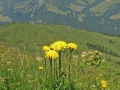 CIMG2640