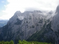 IMGP0983