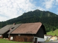 CIMG0365a