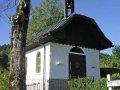 IMGP2965