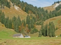 CIMG1216