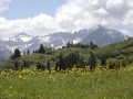 DSCN0100