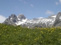 DSCN0103