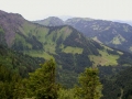 IMGP5293