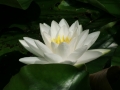CIMG5621