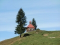 CIMG0447