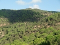 CIMG8676