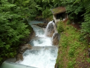 P1050917