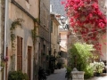 Bild7