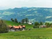 IMG20260429113156