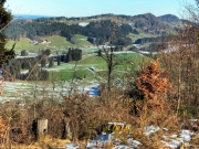IMG20241201123636