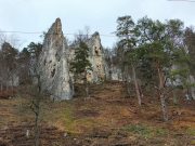 IMG20241220101525
