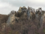 IMG20241220123052