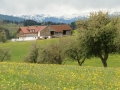 CIMG6957
