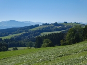 P1060443