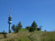 P1060449