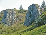 CIMG2509