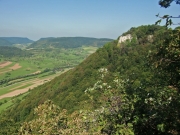 CIMG3497